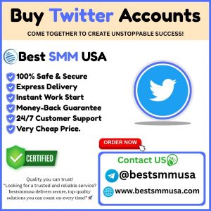 Buy Twitter Accounts